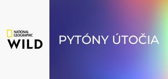 Pytóny útočia