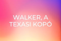 Walker, a texasi kopó Évad 2 Rész 14 - Kegyetlen utcák