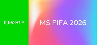 MS FIFA 2026