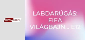 Labdarúgás: FIFA Világbajnokság E12
