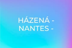 Házená - Nantes - Veszprém