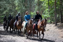 Koronás sas - A Jagello-ház - Örök kárhozat