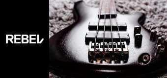 ROCKNEWS
