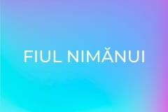 Fiul nimănui