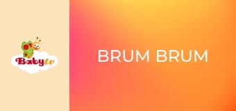 Brum brum - Burza i ptak