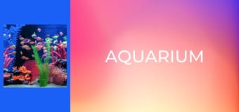 Aquarium