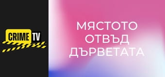 Мястото отвъд дърветата