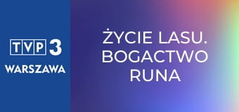 Życie lasu. Bogactwo runa i podszytu