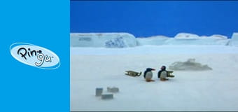 The Pingu Show Sezon 1 Odcinek 62