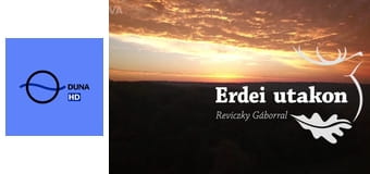 Erdei utakon