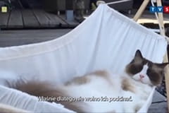 Pasmo ciekawostek
