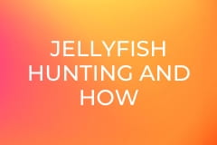 Jellyfish hunting and how the Chinese cook it. China.