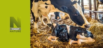 Veterinář z vysočiny S1E6