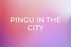 Pingu In The City Sezonul 1 Episodul 22