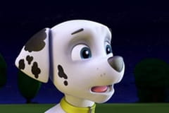 Paw Patrol Season 1 Episode 10