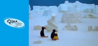 Pingu Sezon 2 Odcinek 19