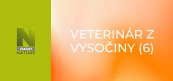 Veterinár z vysočiny (6)