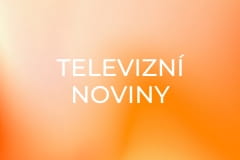 Televizní noviny