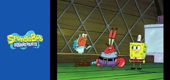 SpongeBob Sezon 8 Odcinek 2