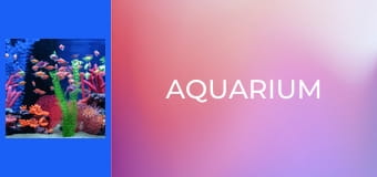 Aquarium