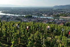 Vůně cizích krajů - Drôme, Francie bez příkras