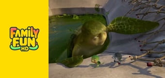 Приключенията на Сами 2