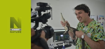 Veterináři pro neobvyklá domácí zvířata S1E4