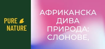 Африканска дива природа: Слонове, Част 1