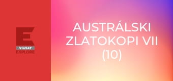 Austrálski zlatokopi VII (10)