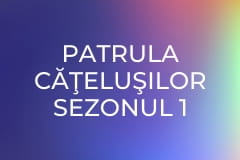Patrula căţeluşilor Sezonul 1 Episodul 8