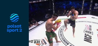 MMA: Madness Cage Fighting