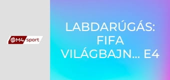 Labdarúgás: FIFA Világbajnokság E4
