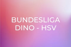 Bundesliga Dino - HSV