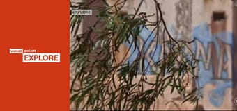 Australijscy poszukiwacze złota S5E14