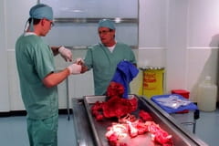 NCIS - Námorný vyšetrovací úrad Season 1 Episode 20 - Nezvestný