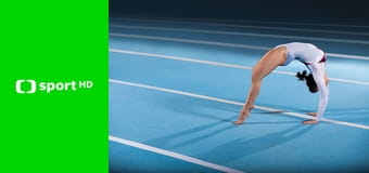Sportovní gymnastika
