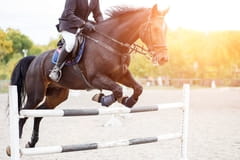 Jezdectví: Rolex Grand Slam - CHIO Aachen