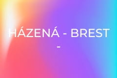 Házená - Brest - CSM Bukurešť