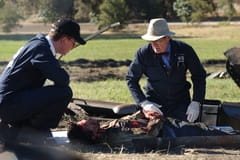 NCIS - Námorný vyšetrovací úrad Season 2 Episode 5 - Pohrebisko