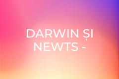 Darwin și Newts - Iluzii optice