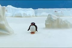 The Pingu Show Sezon 1 Episod 46