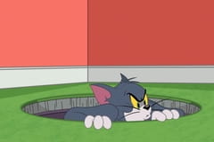Tom és Jerry Show Évad 2 Rész 55 - Csak a szokásos