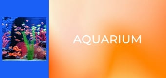 Aquarium