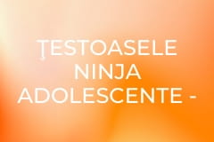 Ţestoasele Ninja Adolescente - Sezonul 4 Episodul 3