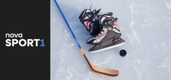 Lední hokej: NHL E489