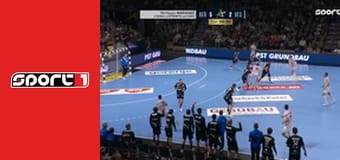 Házená - Füchse Berlín - One Veszprém