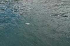 Gail Force, part 4