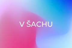 V šachu