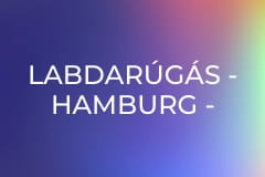Labdarúgás - Hamburg - Eintracht Frankfurt