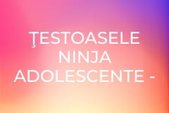 Ţestoasele Ninja Adolescente - Sezonul 4 Episodul 19